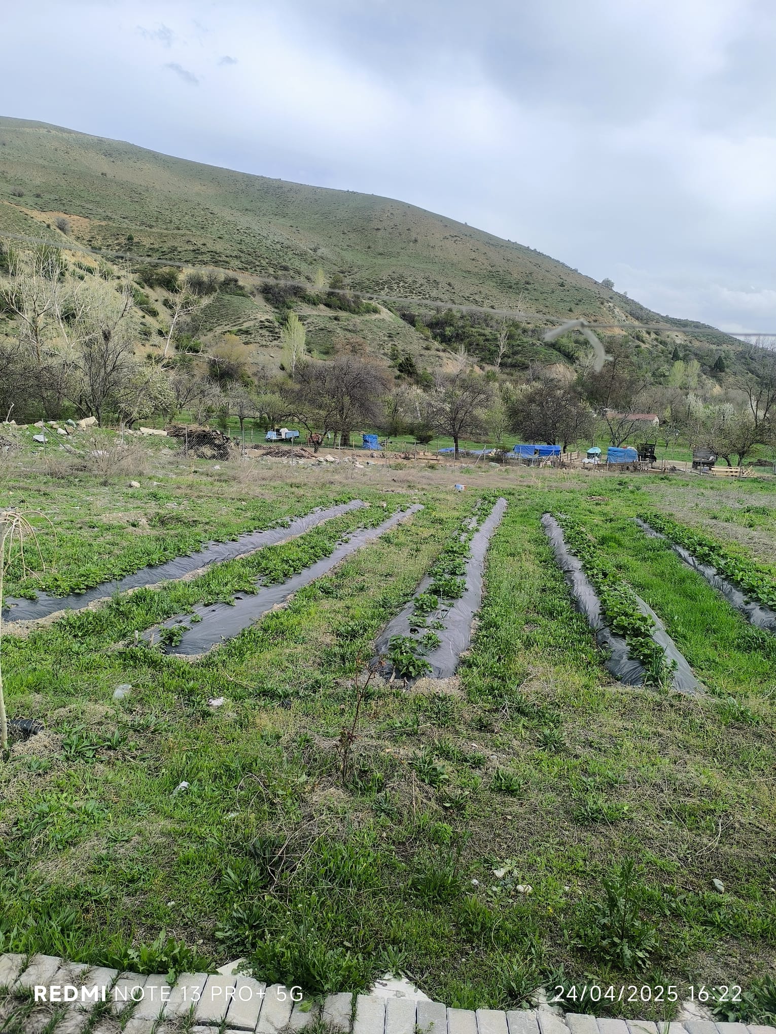 MABEL'DEN ÜZÜMLÜ/BAYIRBAĞ'DA SATILIK 3,843 M2 BAHÇE VE DOĞA EVİ